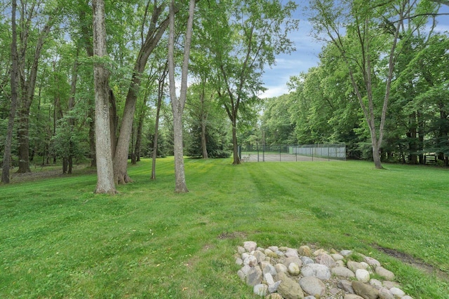71 Denison Dr, Granville, OH 43023 - view of yard