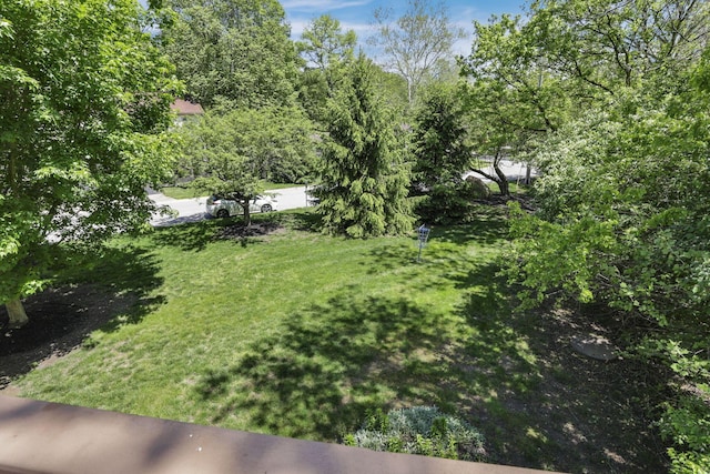 389 Fenway Rd Unit B, Columbus, OH 43214 - view of grassy yard