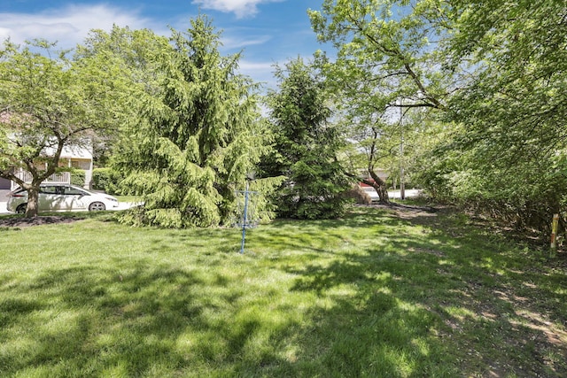 389 Fenway Rd Unit B, Columbus, OH 43214 - view of green lawn