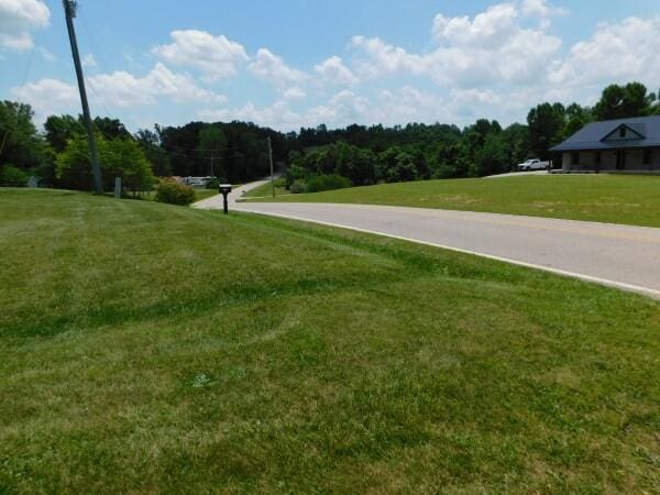 7670 Zwickle Rd, Logan, OH 43138 - view of home's community with a yard and a view of trees