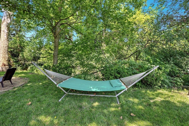 183 Leasure Dr, Pickerington, OH 43147 - photo 44