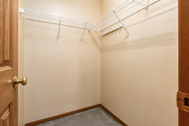 281 Inah Ave, Columbus, OH 43228 - walk in closet with dark colored carpet