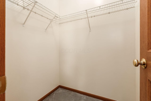 281 Inah Ave, Columbus, OH 43228 - walk in closet with dark colored carpet