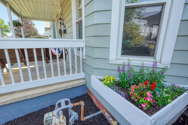162 Watt St, Circleville, OH 43113 - exterior view of gas meter