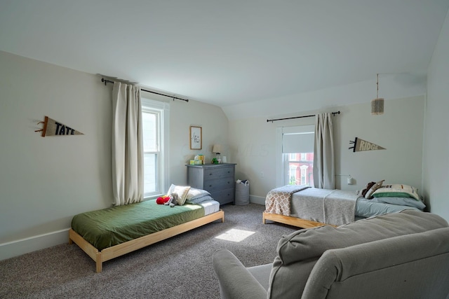 162 Watt St, Circleville, OH 43113 - carpeted bedroom with multiple windows and vaulted ceiling