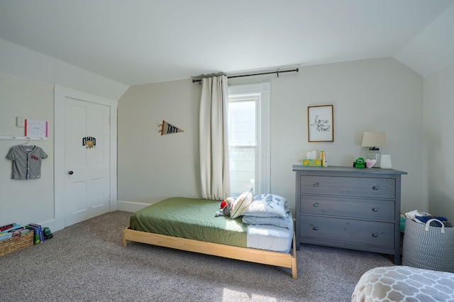 162 Watt St, Circleville, OH 43113 - bedroom with lofted ceiling and carpet floors