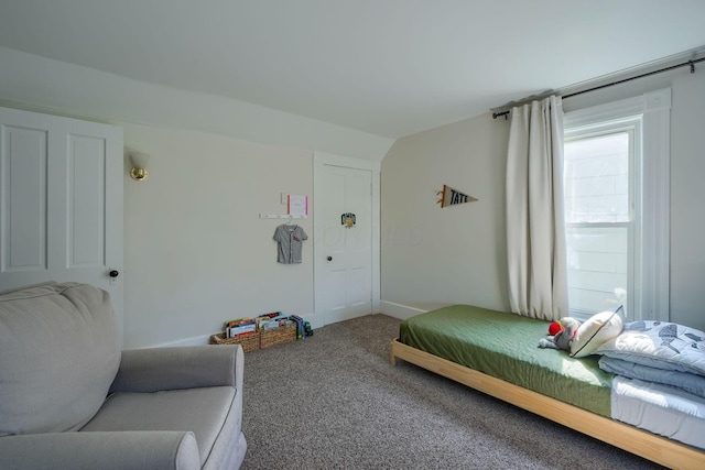 162 Watt St, Circleville, OH 43113 - bedroom with carpet floors and lofted ceiling