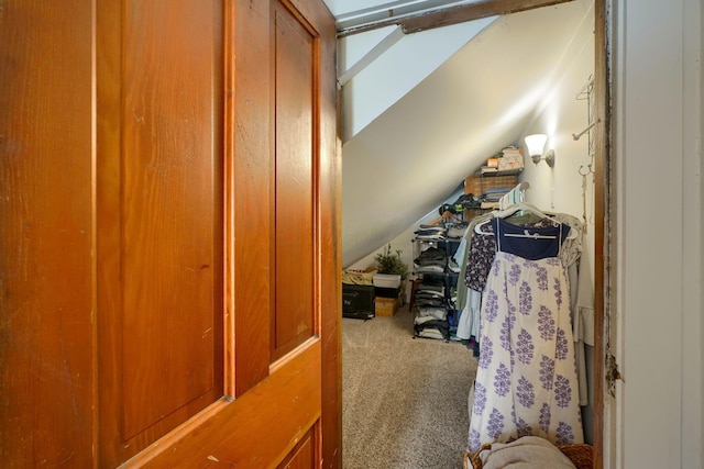 162 Watt St, Circleville, OH 43113 - spacious closet with carpet flooring and lofted ceiling
