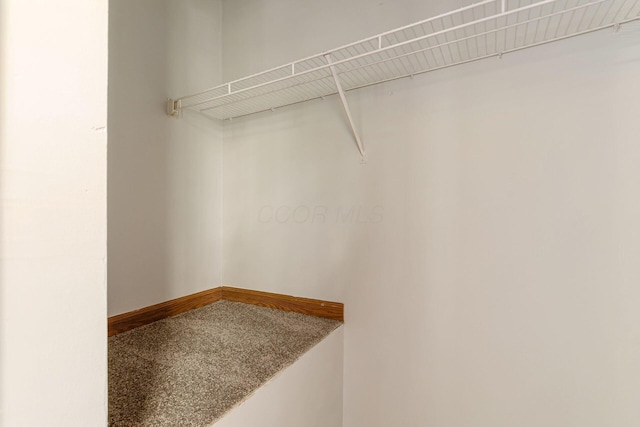 7345 Oakmeadows Dr, Columbus, OH 43085 - view of spacious closet