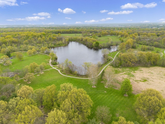7345 Oakmeadows Dr, Columbus, OH 43085 - drone / aerial view of a large body of water and a forest