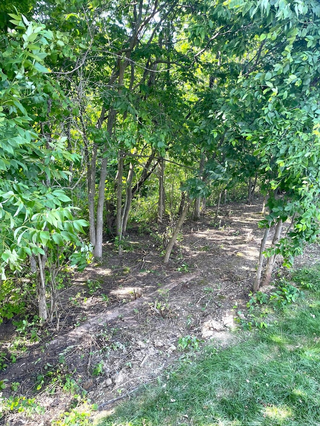 10205 Coronado Ct, Plain City, OH 43064 - photo 75