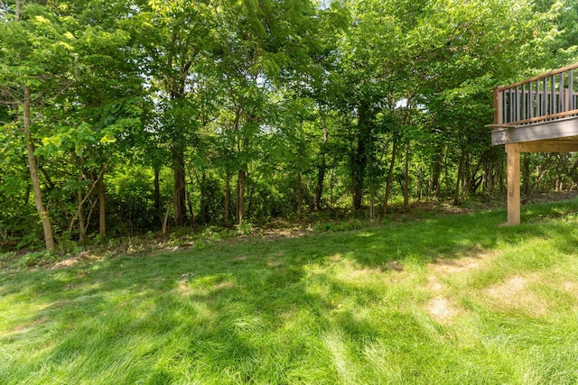 10205 Coronado Ct, Plain City, OH 43064 - photo 79