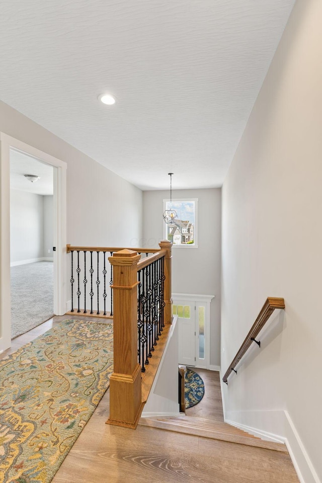 10205 Coronado Ct, Plain City, OH 43064 - photo 36