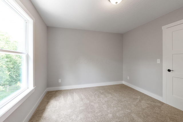 10205 Coronado Ct, Plain City, OH 43064 - photo 54