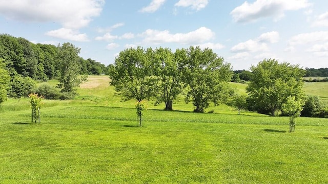 17619 Lower Fredericktwn Amity Rd, Fredericktown, OH 43019 - photo 6