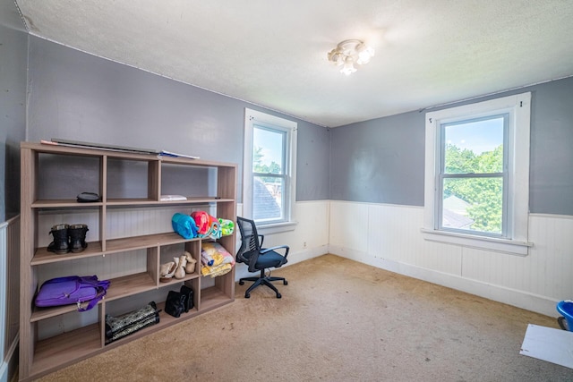 559 Pearl St, Marion, OH 43302 - office space with a wainscoted wall, carpet floors, and a textured ceiling