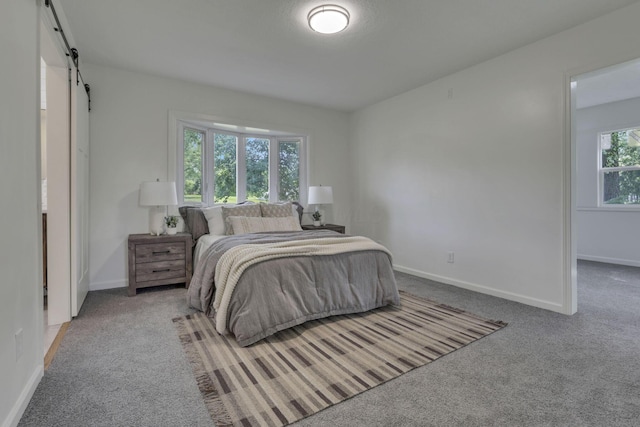 1080 Coonpath Rd NW, Lancaster, OH 43130 - bedroom featuring a barn door and light colored carpet