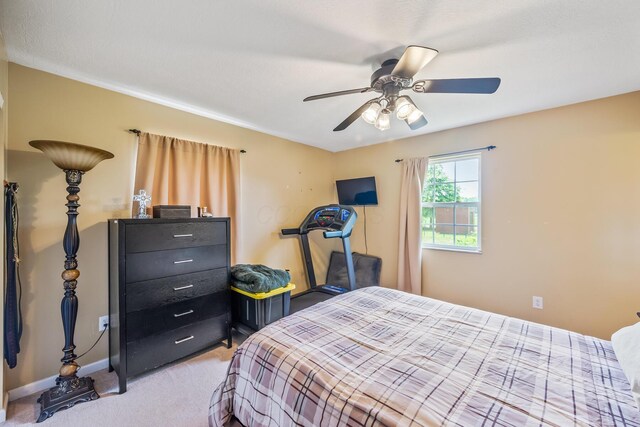 4080 Township Road 138, Cardington, OH 43315 - photo 24