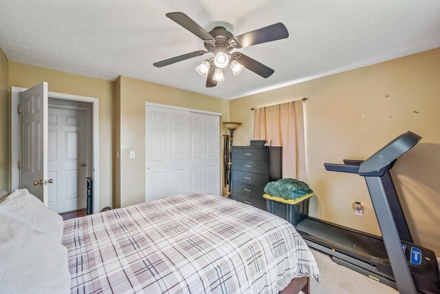 4080 Township Road 138, Cardington, OH 43315 - photo 25