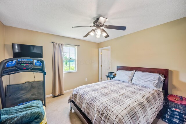 4080 Township Road 138, Cardington, OH 43315 - photo 26