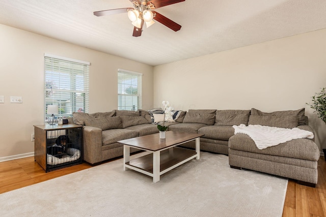 402 Wooster St, Pickerington, OH 43147 - photo 5