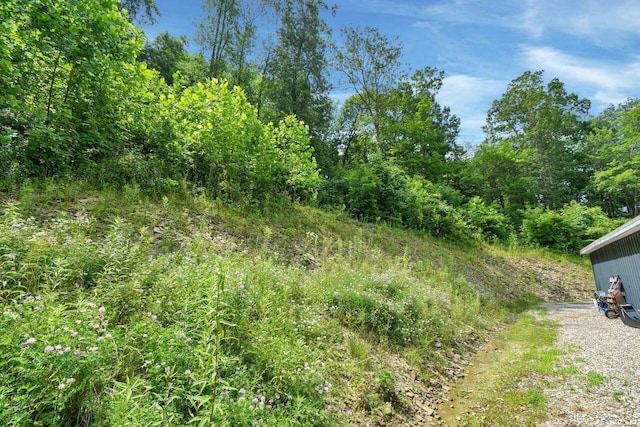 4619 Spring Hill Rd, Heath, OH 43056 - view of nature