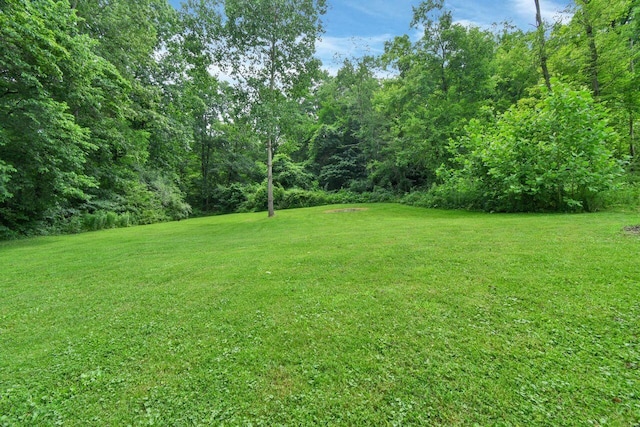 4619 Spring Hill Rd, Heath, OH 43056 - view of green lawn