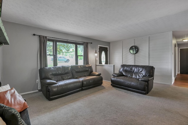748 Forward Pass Rd SW, Pataskala, OH 43062 - living area featuring a textured ceiling and carpet flooring