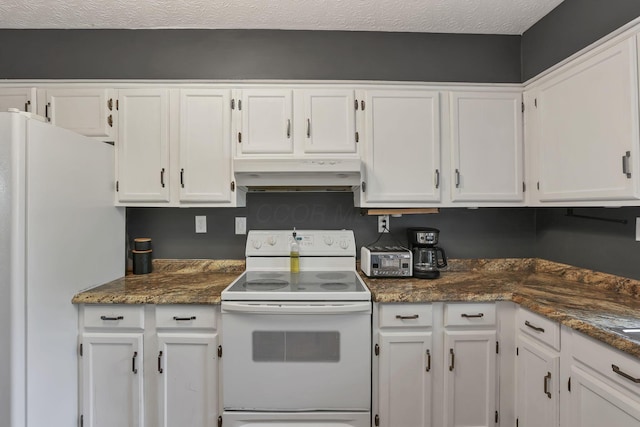 748 Forward Pass Rd SW, Pataskala, OH 43062 - kitchen with white appliances, under cabinet range hood, white cabinets, a textured ceiling, and dark stone counters