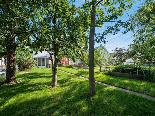 211 E Jenkins Ave, Columbus, OH 43207 - view of yard