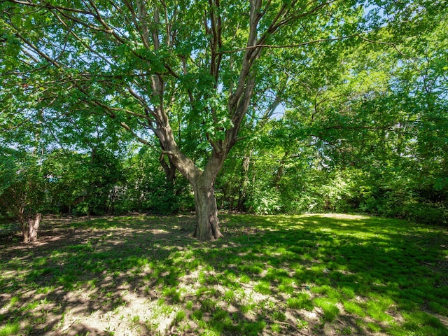 1866 Queensrowe Ct, Columbus, OH 43227 - photo 15