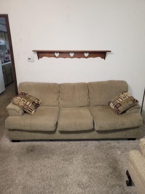327 Ziegler Ave, Columbus, OH 43207 - view of carpeted living room