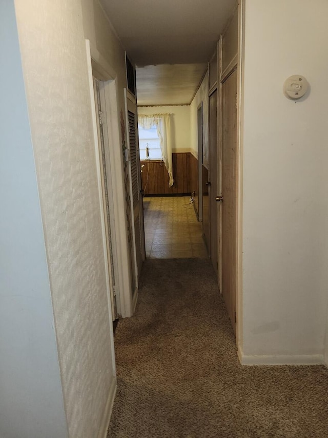 327 Ziegler Ave, Columbus, OH 43207 - hall with carpet and wood walls