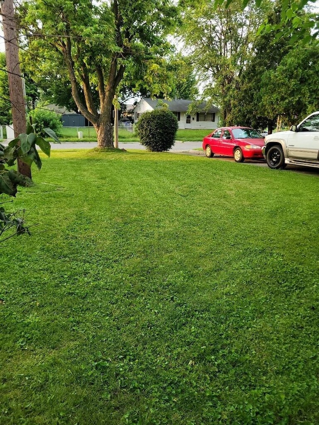327 Ziegler Ave, Columbus, OH 43207 - view of green lawn