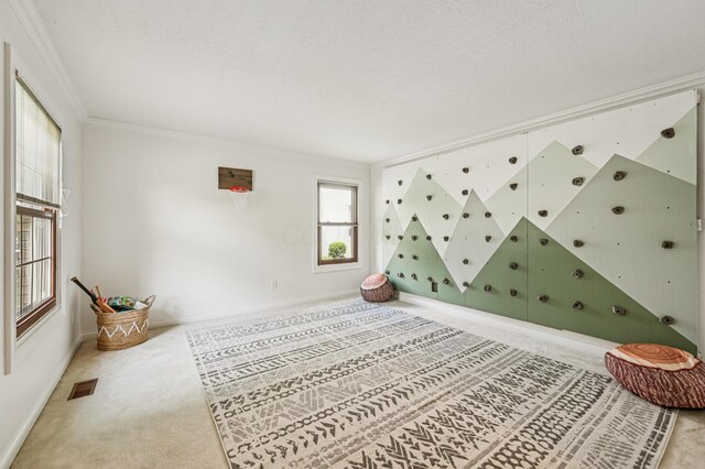 6332 Oisin Ct, Dublin, OH 43016 - photo 27