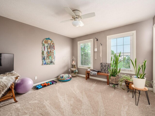 7635 Overland Trl, Delaware, OH 43015 - workout area featuring carpet and a ceiling fan