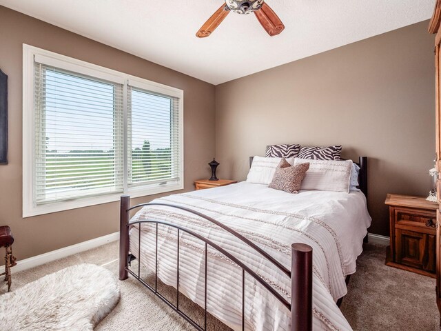 7635 Overland Trl, Delaware, OH 43015 - bedroom with carpet floors, multiple windows, and a ceiling fan