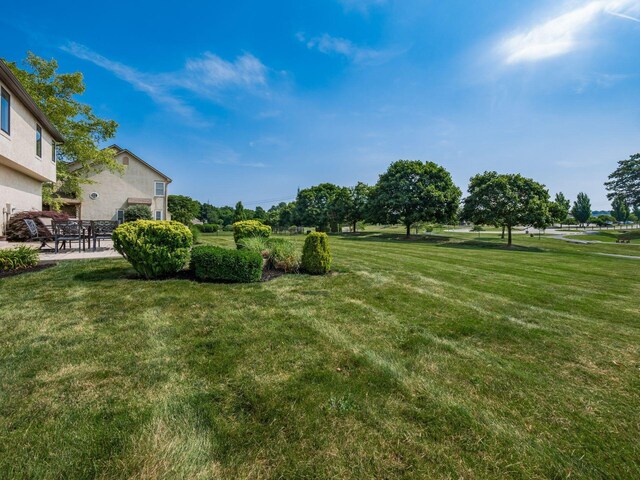 7635 Overland Trl, Delaware, OH 43015 - view of green lawn featuring a patio
