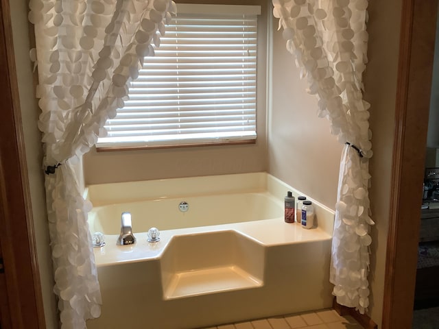 374 Chatham Rd, Circleville, OH 43113 - full bath featuring healthy amount of natural light and a garden tub