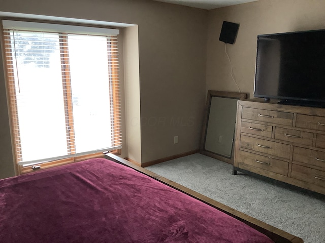 374 Chatham Rd, Circleville, OH 43113 - bedroom featuring carpet flooring and baseboards