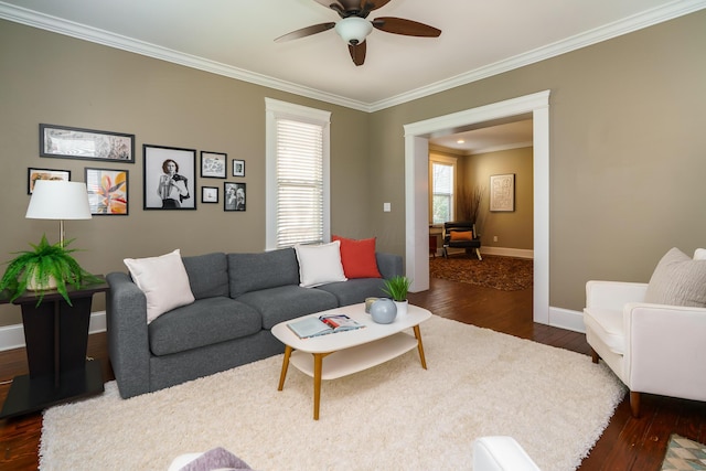 489 Elsmere St, Columbus, OH 43206 - living area with dark wood-style floors, a ceiling fan, and crown molding