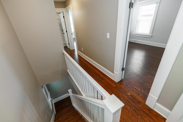 489 Elsmere St, Columbus, OH 43206 - staircase with hardwood / wood-style floors and baseboards