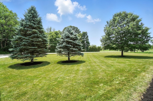 2831 Curve Rd, Delaware, OH 43015 - photo 53