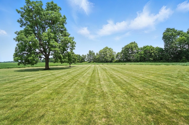 2831 Curve Rd, Delaware, OH 43015 - photo 54