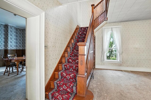 249 W Locust St, Newark, OH 43055 - stairs with carpet flooring and wallpapered walls