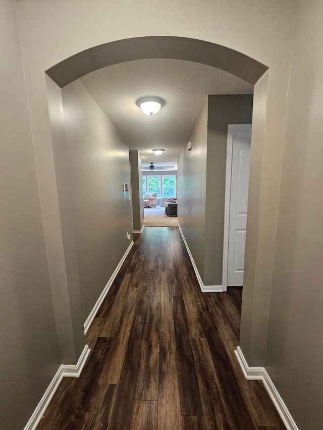 7520 Autumn Joy Ave, Canal Winchester, OH 43110 - corridor featuring arched walkways and wood finished floors