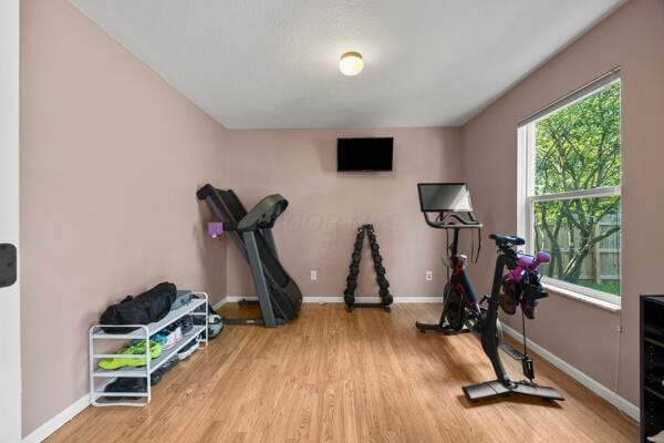 5813 Camhurst Ct, Galloway, OH 43119 - exercise area with wood finished floors