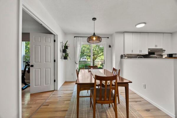 5813 Camhurst Ct, Galloway, OH 43119 - dining area with plenty of natural light and light wood-style flooring