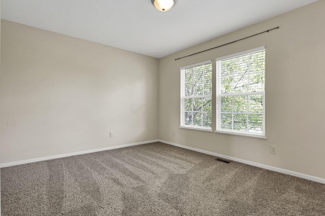 3717 Hickory Field Ln, Powell, OH 43065 - photo 51