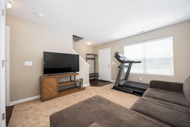 5738 Hayden Run Blvd, Dublin, OH 43016 - living room featuring carpet flooring and a textured ceiling